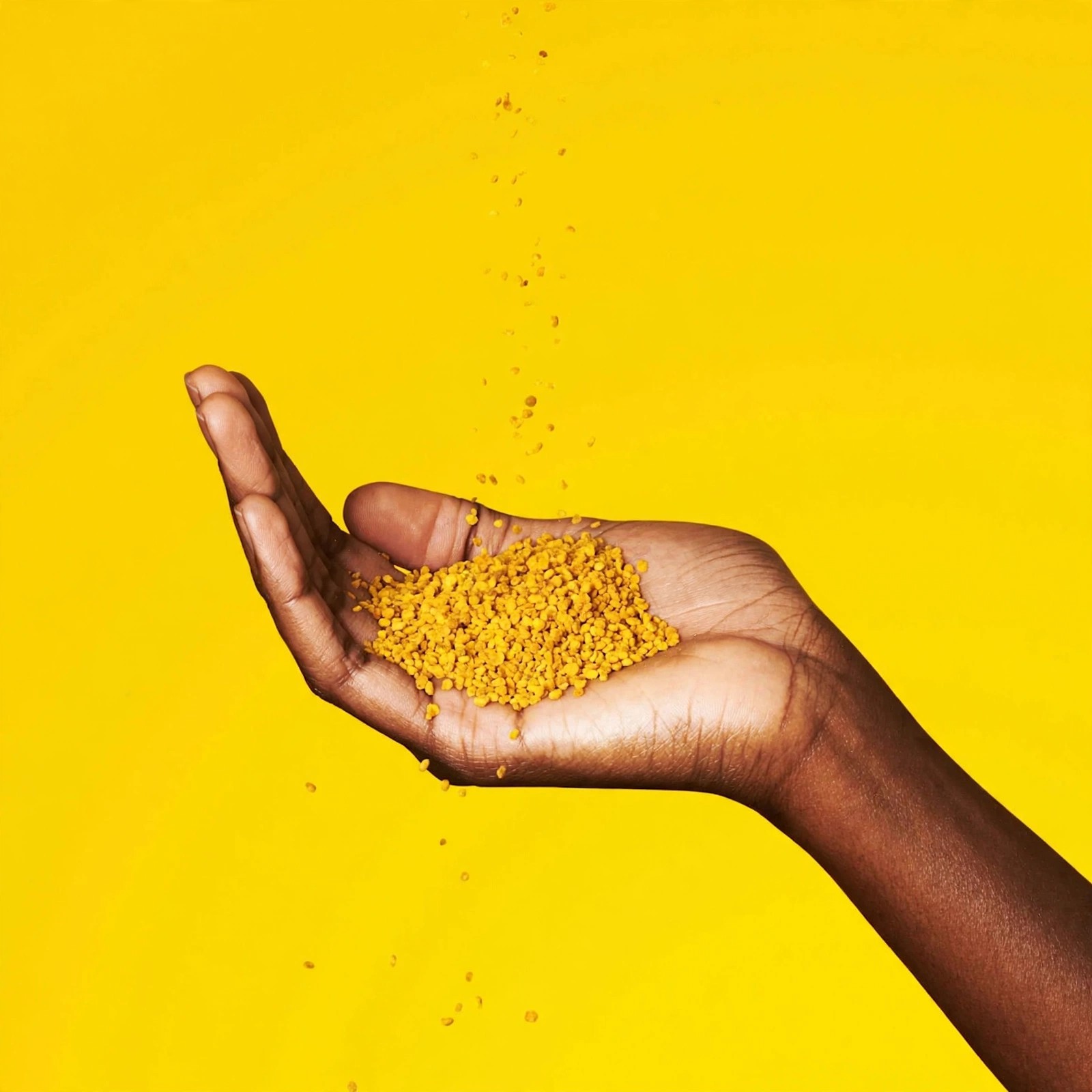 Bee pollen granules resting in an outstretched palm.