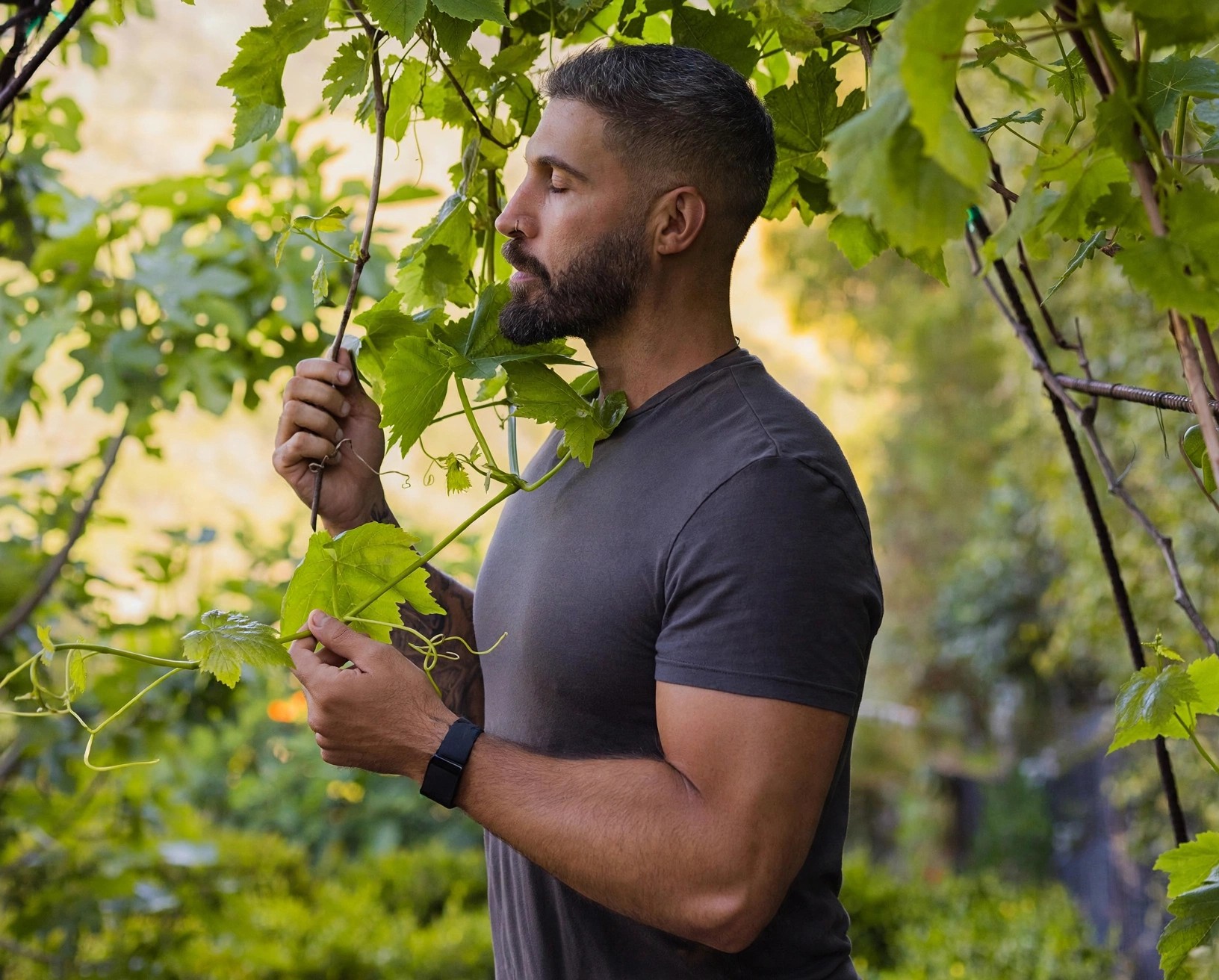 Chervin Jafarieh and the morning cup of shilajit tea