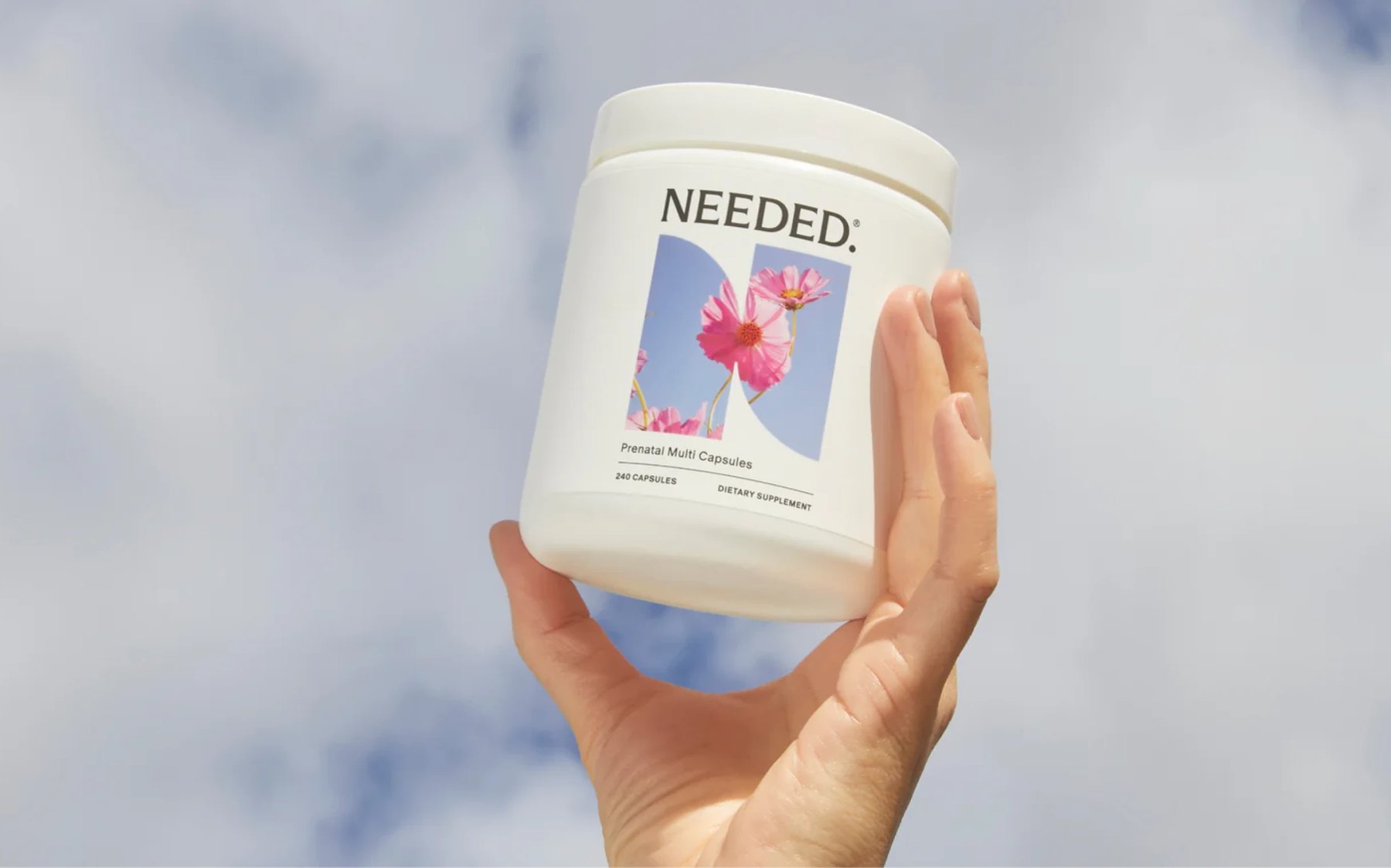 Hand holding Needed prenatal vitamins beneath clouds.